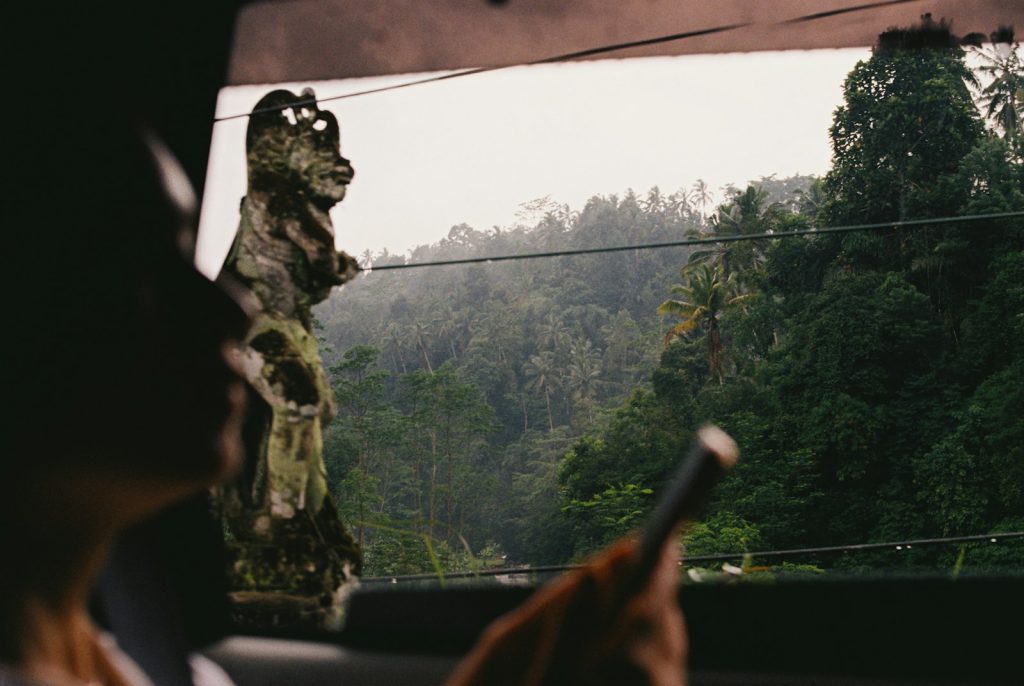 Person gazing at a lush green landscape through window